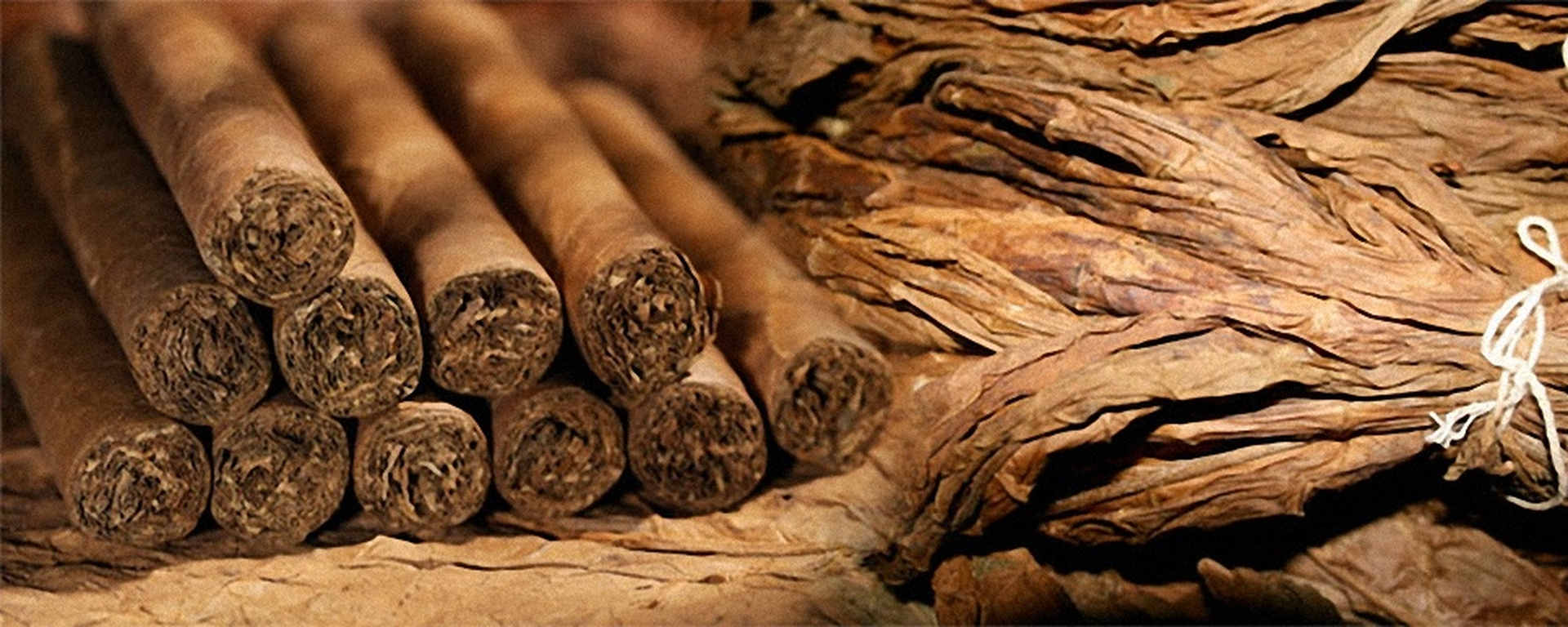 Как ферментируют сигарный табак