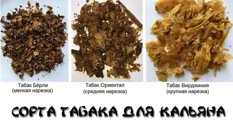 Сорта табака для кальяна